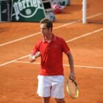 Gasquet et Tsonga mèneront les Bleus !