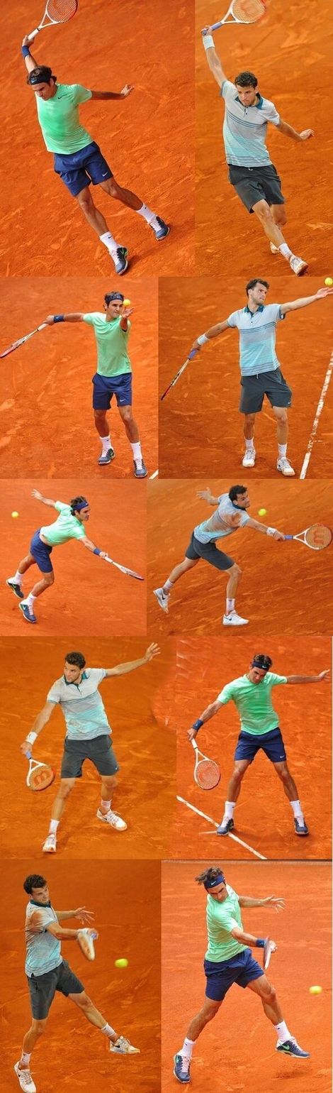 fed-dimitrov-image