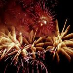 BONNE ANNEE 2010 !