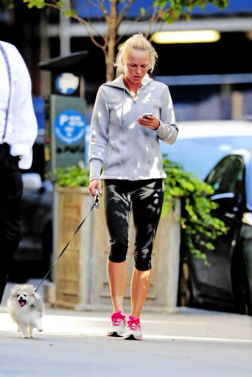 wozniacki-dog