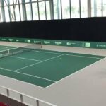 Tsonga et Paire à l’entraînement