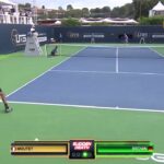 Dustin Brown, un plongeon d’un autre monde