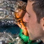 Djokovic a perçu 1 million de dollars de moins que l’année dernière