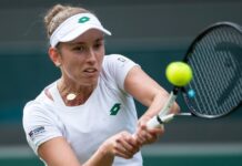 Elise Mertens après son exploit face à Elena Rybakina : « Si quelqu’un avait un chien que je pourrais promener, ça me ferait aussi très plaisir »