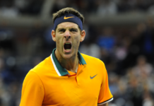Juan Martin Del Potro : « Il y a deux joueurs actuels qui me rappellent mon propre style de jeu »