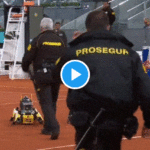 Madrid innove avec des chiens robots « intelligents », et ce n’est pas encore ça…