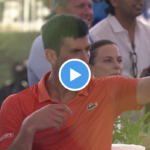 Quand Djokovic, furieux, oblige son frère à quitter le stade en pleine finale
