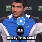 La conférence de presse d’Alcaraz perturbée : « On est en danger ? Les abeilles, maintenant ça, c’est une semaine inhabituelle ! »