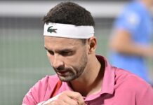 Dimitrov ne méritait vraiment pas ça !