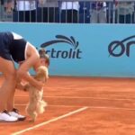 La célébration la plus inattendue de l’année signée Marta Kostyuk